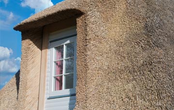 Trembraze thatch roof disadvantages